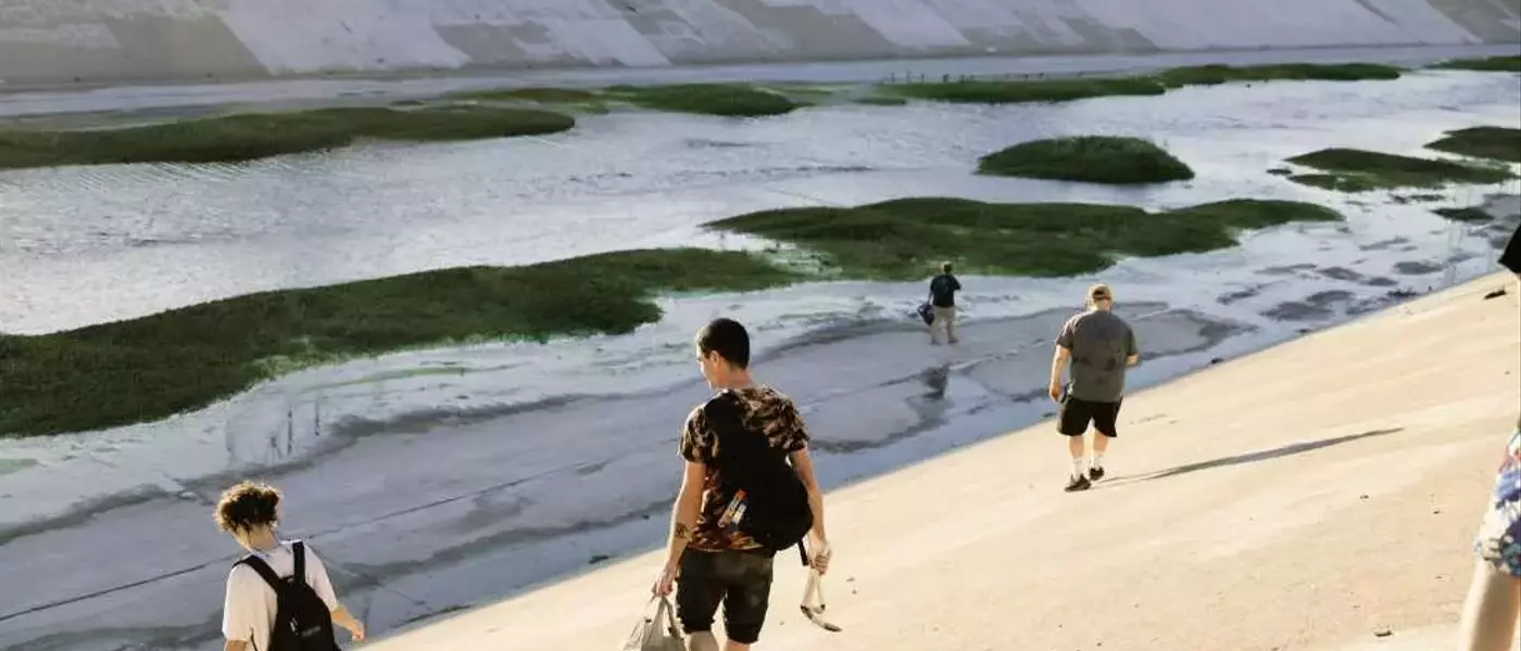 Guerrilla Gardener Creates Pop-Up Wetland in LA River