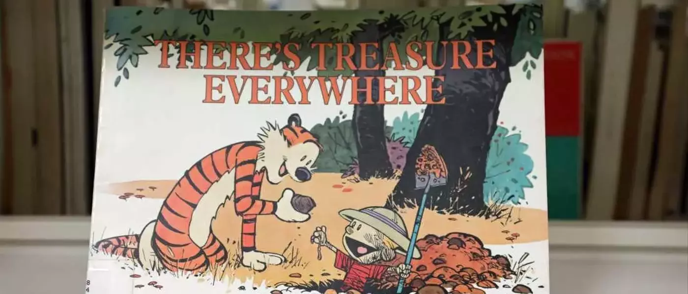 Celebrating Four Decades of Calvin and Hobbes' Enduring Legacy