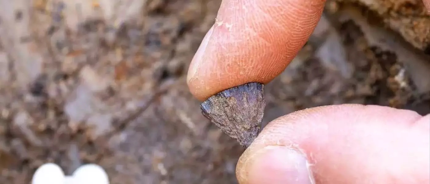 Ancient Fire-Starting: New Evidence Reshapes Human History