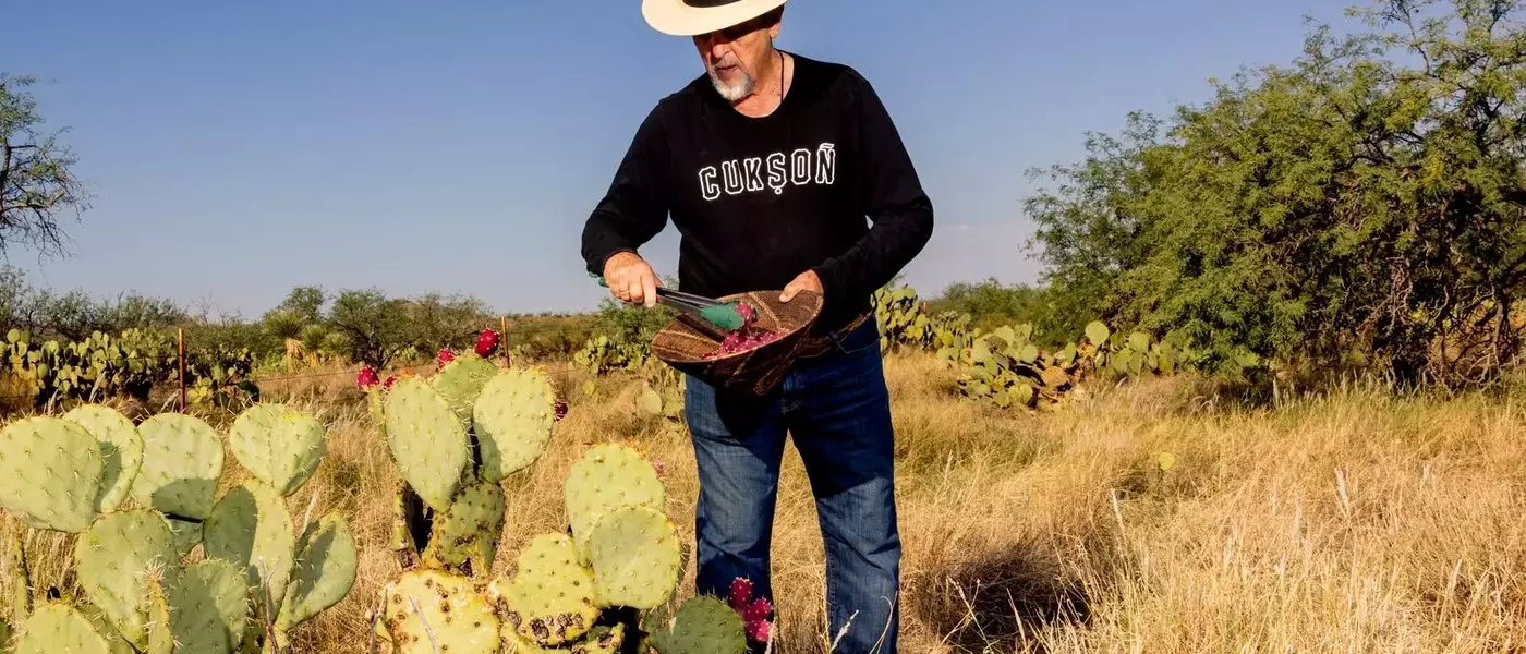 Tucson: A Culinary Journey Through the Sonoran Desert
