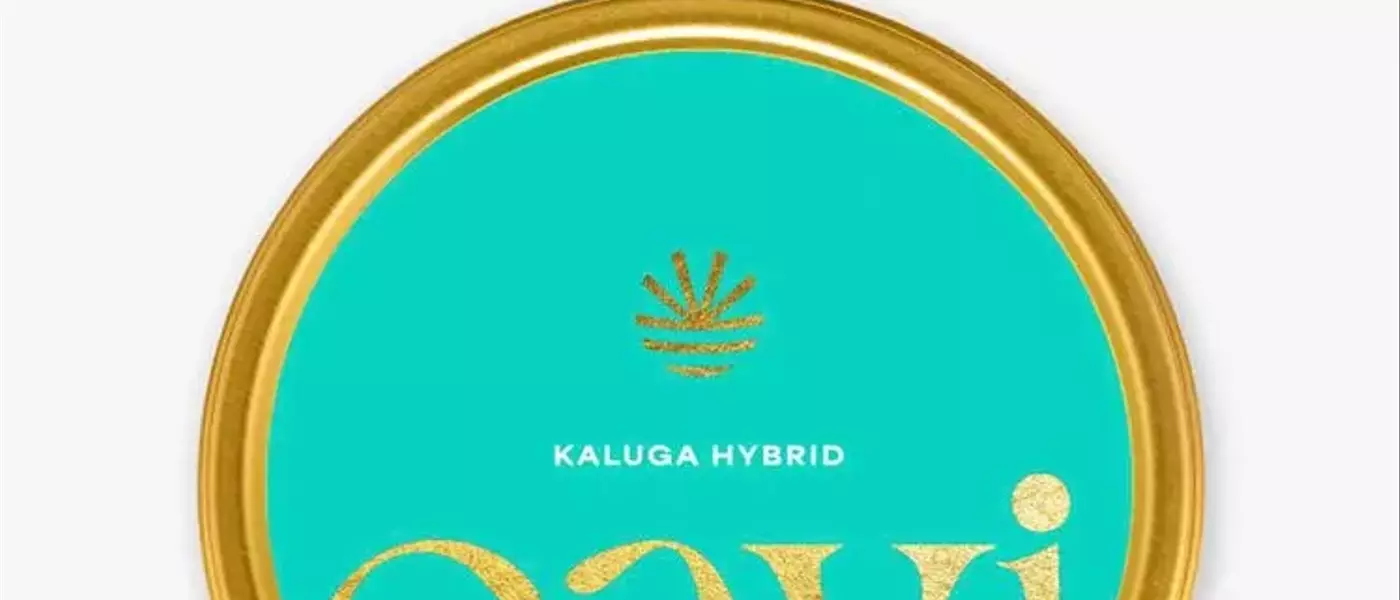 Cavi Caviar: A Luxurious Yet Affordable Delight