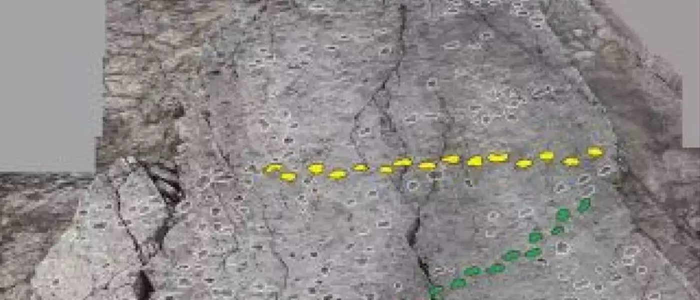 Ancient Dinosaur Tracks Uncovered Near Italian Winter Olympic Sites