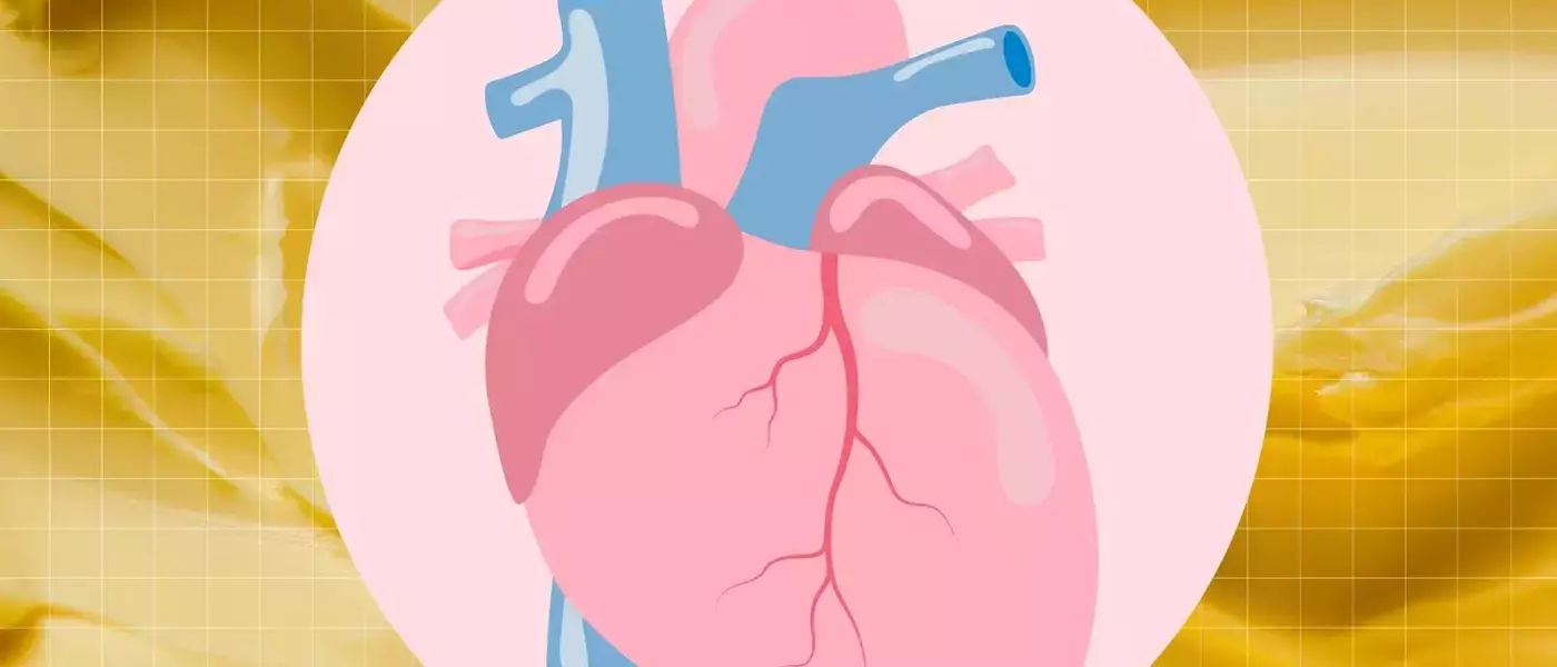 Exploring Butter's Impact on Cardiovascular Health: A Detailed Analysis