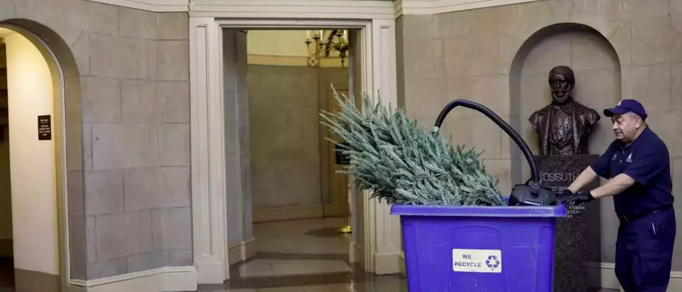 Sustainable Holiday Cleanup: Managing Post-Celebration Waste