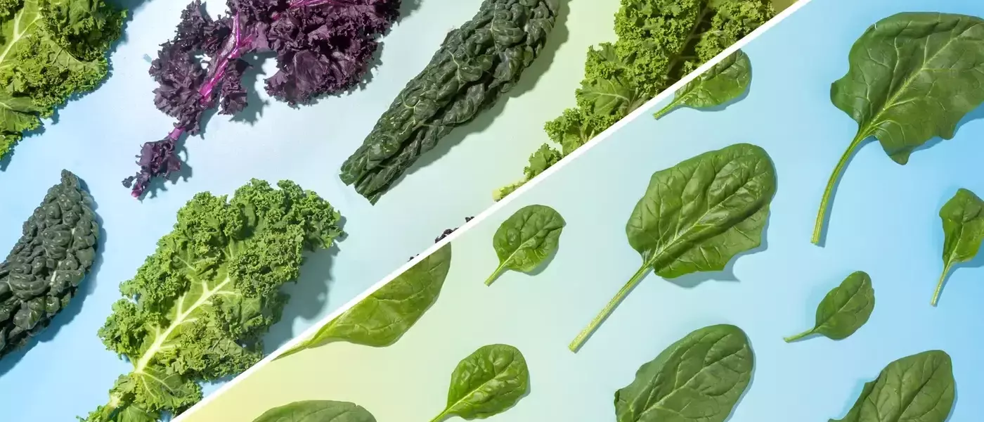 Kale vs. Spinach: Which Green Reigns Supreme?
