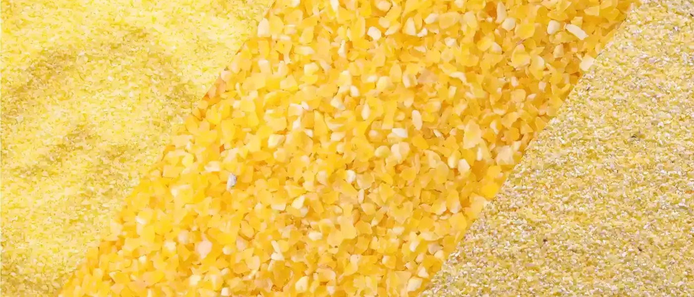 Unraveling the Mysteries of Cornmeal, Polenta, and Grits