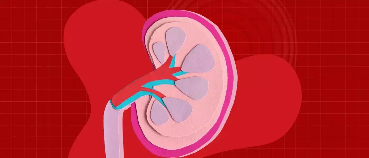 The Hidden Risk of Excessive Electrolyte Drink Consumption for Kidney Health