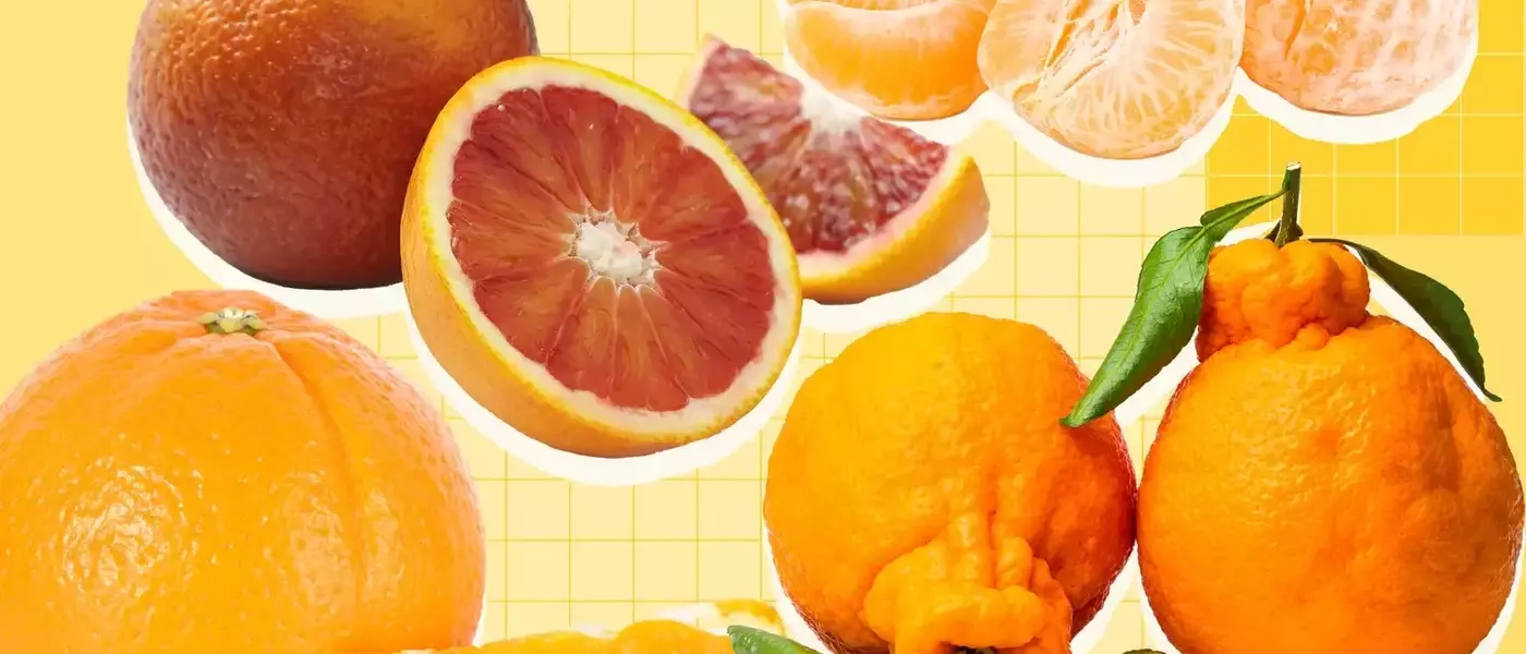 A Comprehensive Guide to Orange Varieties