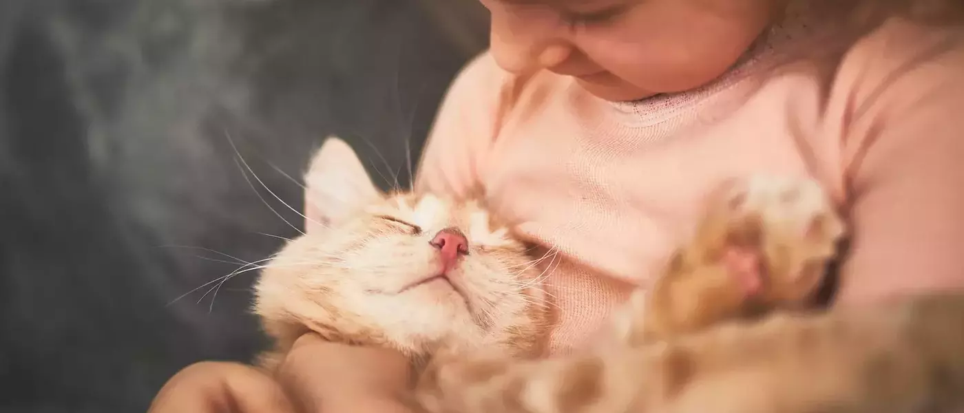 From Feline Focus to Family Harmony: A Parent's Journey with Pets and Child