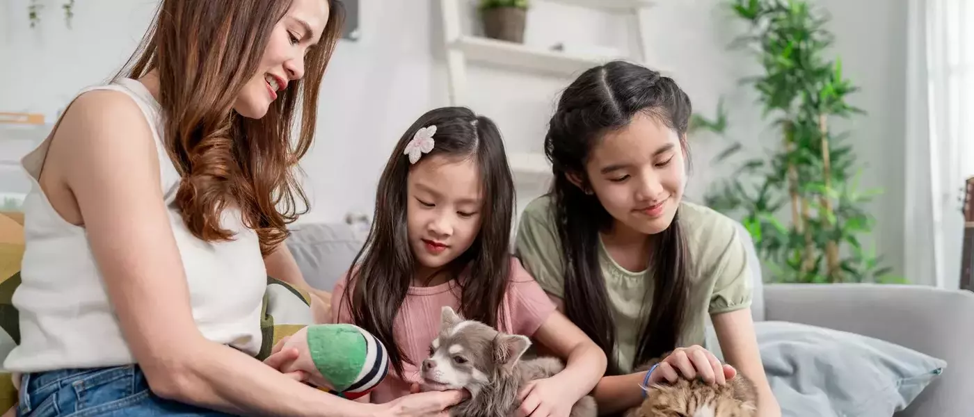 Evolving Parental Approaches: The 'Cat vs. Dog' Philosophy