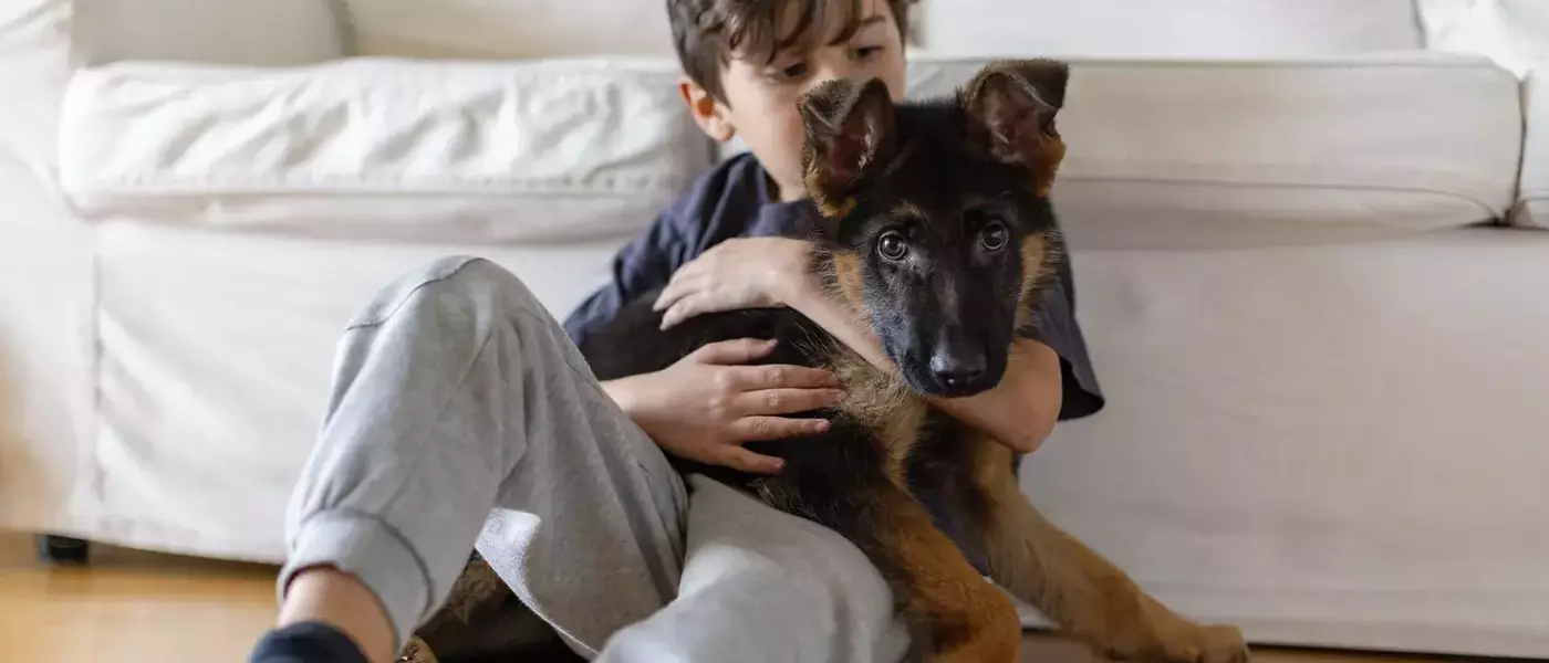 The Journey of Welcoming a Pet: Addressing a Child's Desire for Companionship
