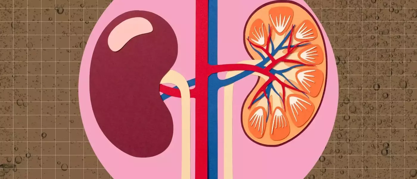 The Impact of Dark Sodas on Kidney Health