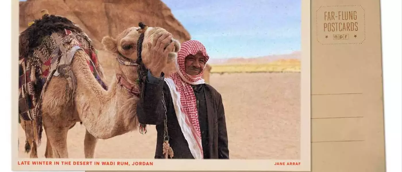 Wadi Rum Blooms: A Desert Transformed by Winter Rains