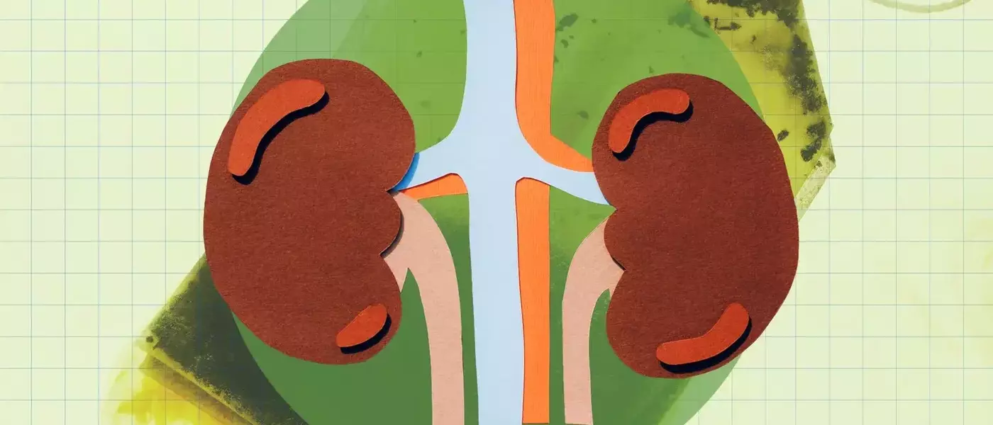 Green Tea: A Potent Ally for Kidney Wellness