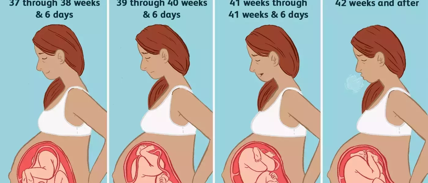 The Importance of Full-Term Pregnancy for Baby's Development
