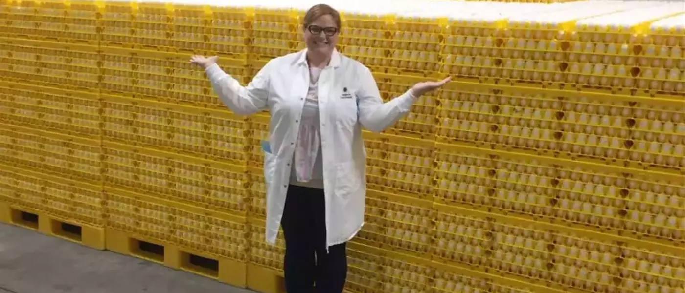 Egg Prices Decline Amidst Avian Flu Recovery and Market Saturation