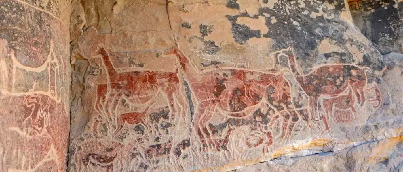 Prehistoric Culinary Sophistication Revealed