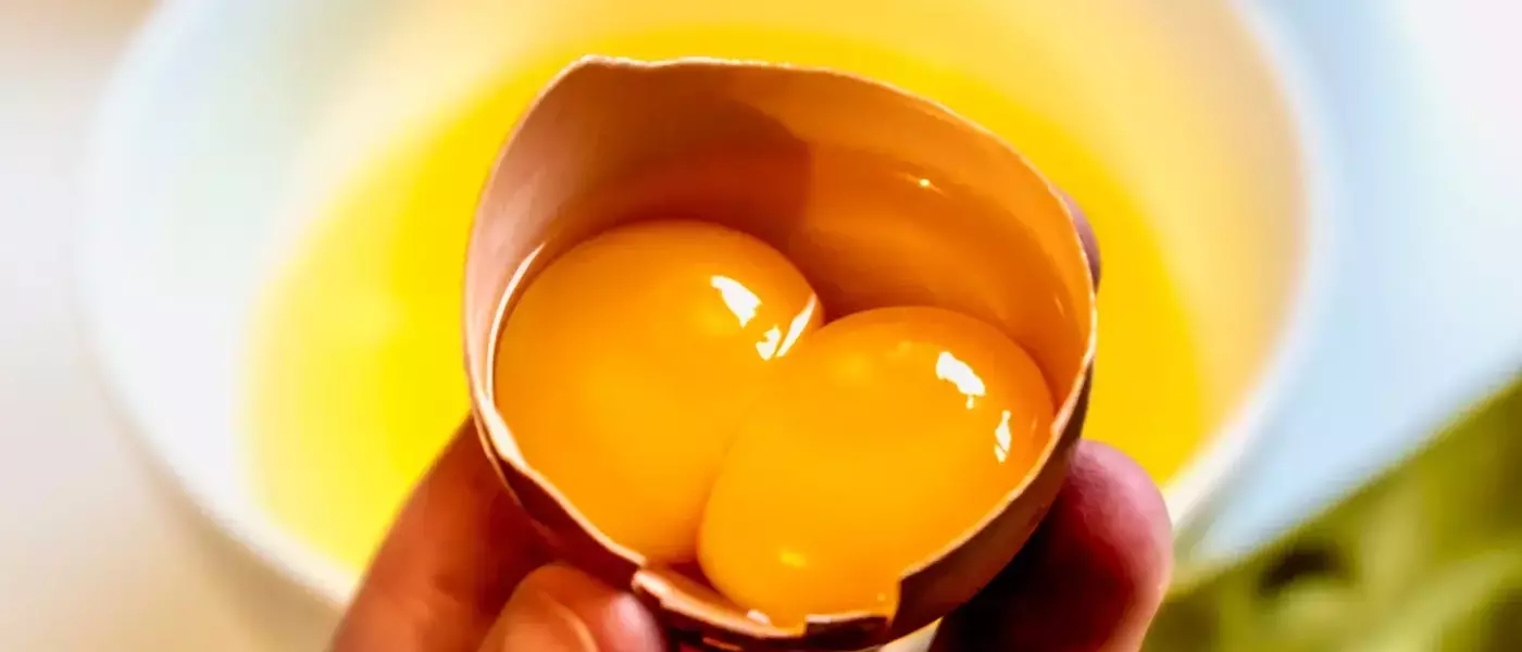 The Enigmatic World of Double-Yolked Eggs