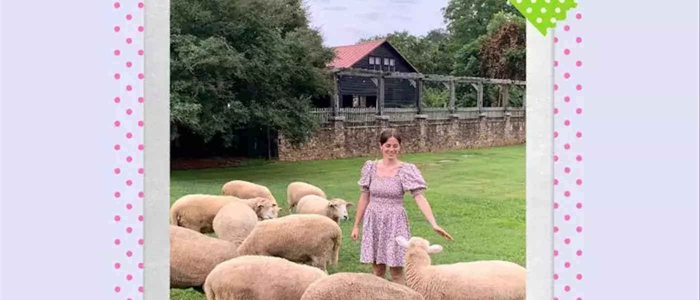 Scary Mommy's 2026 Readers' Choice Awards for Premier Farm Stays Revealed