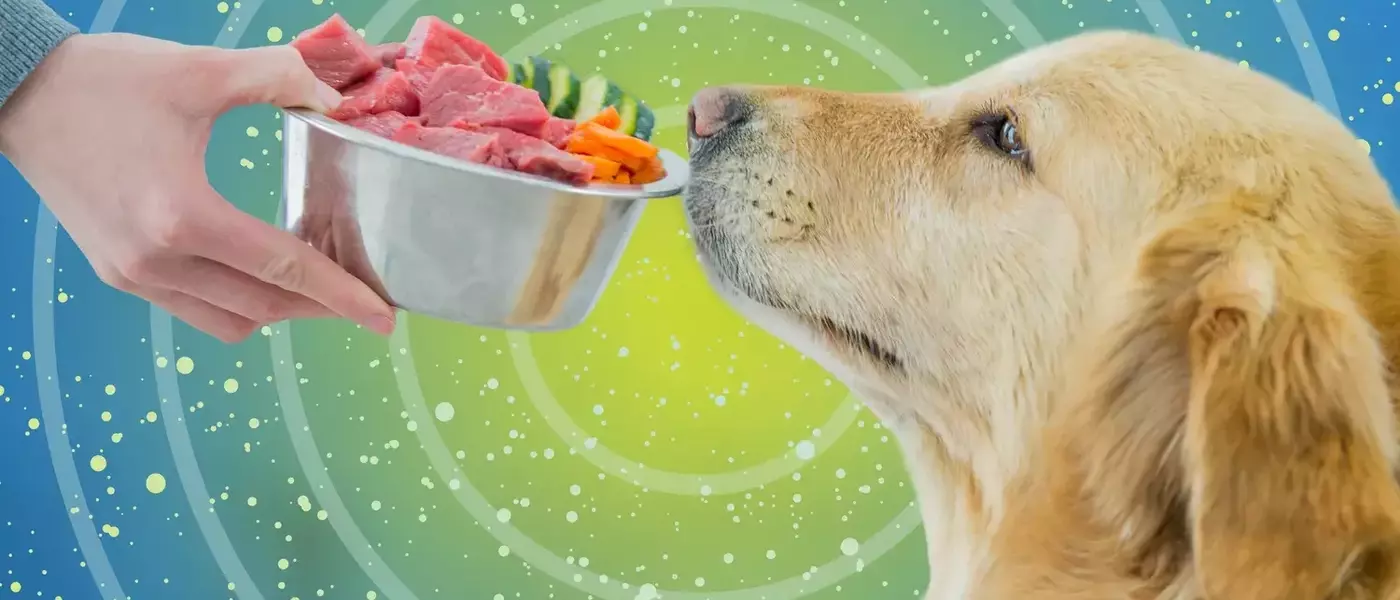 Fresh Dog Food: A Detailed Analysis of Its Benefits and Drawbacks