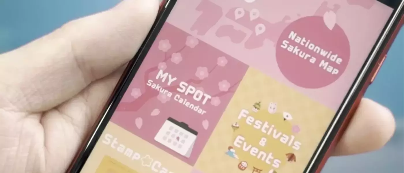 AI Revolutionizes Cherry Blossom Forecasts in Japan