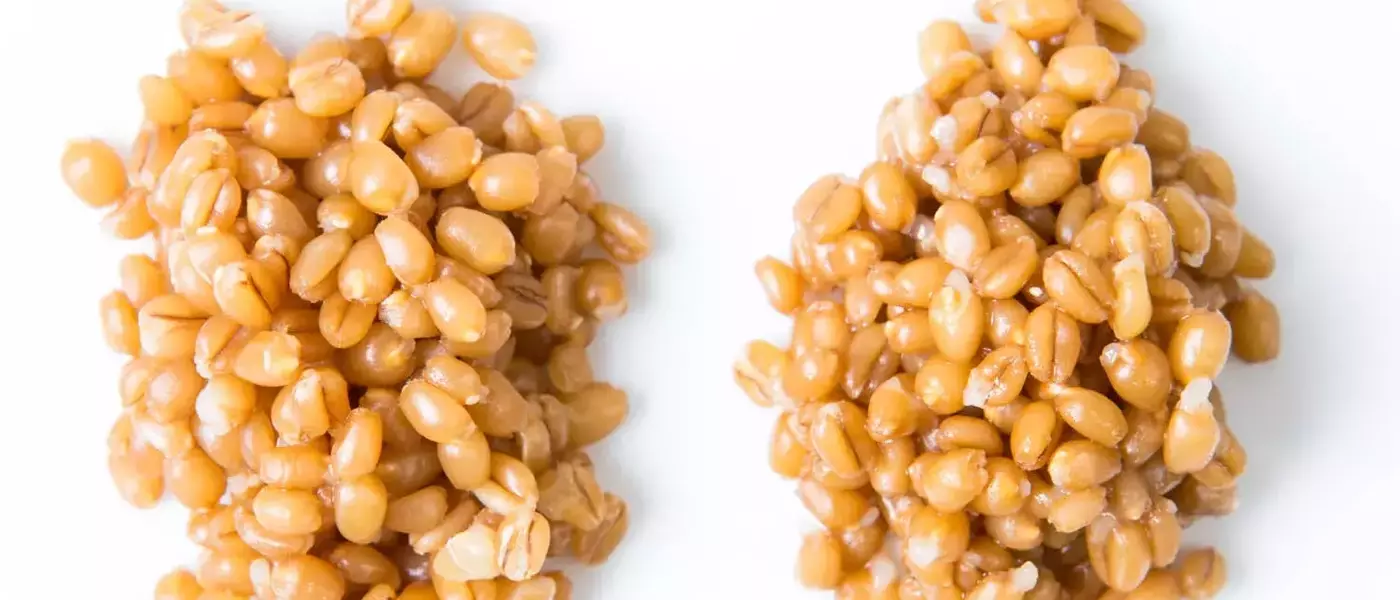 Pressure Cookers and Grains: An Unexpected Outcome