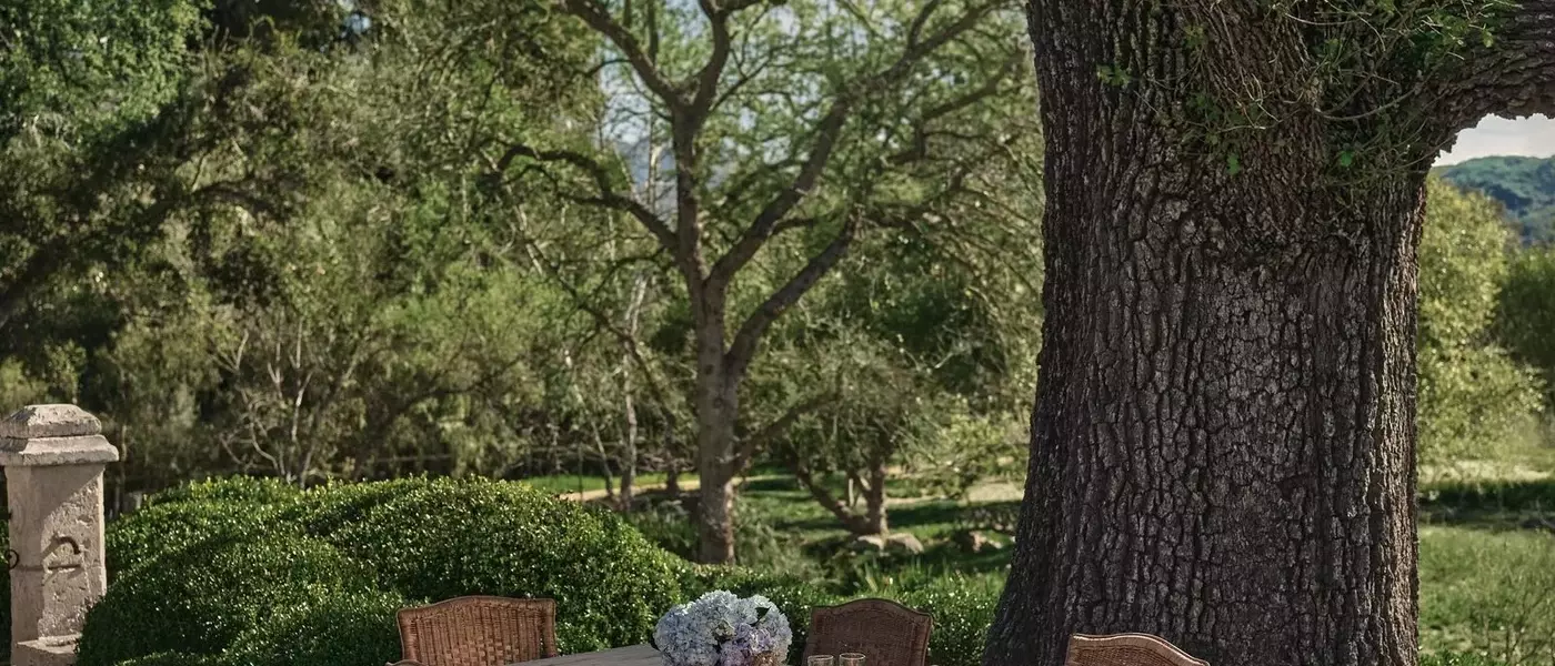 Pamela Anderson Unveils "The Sentimentalist" Furniture Line, Reflecting Her Romantic Spirit and Home Values