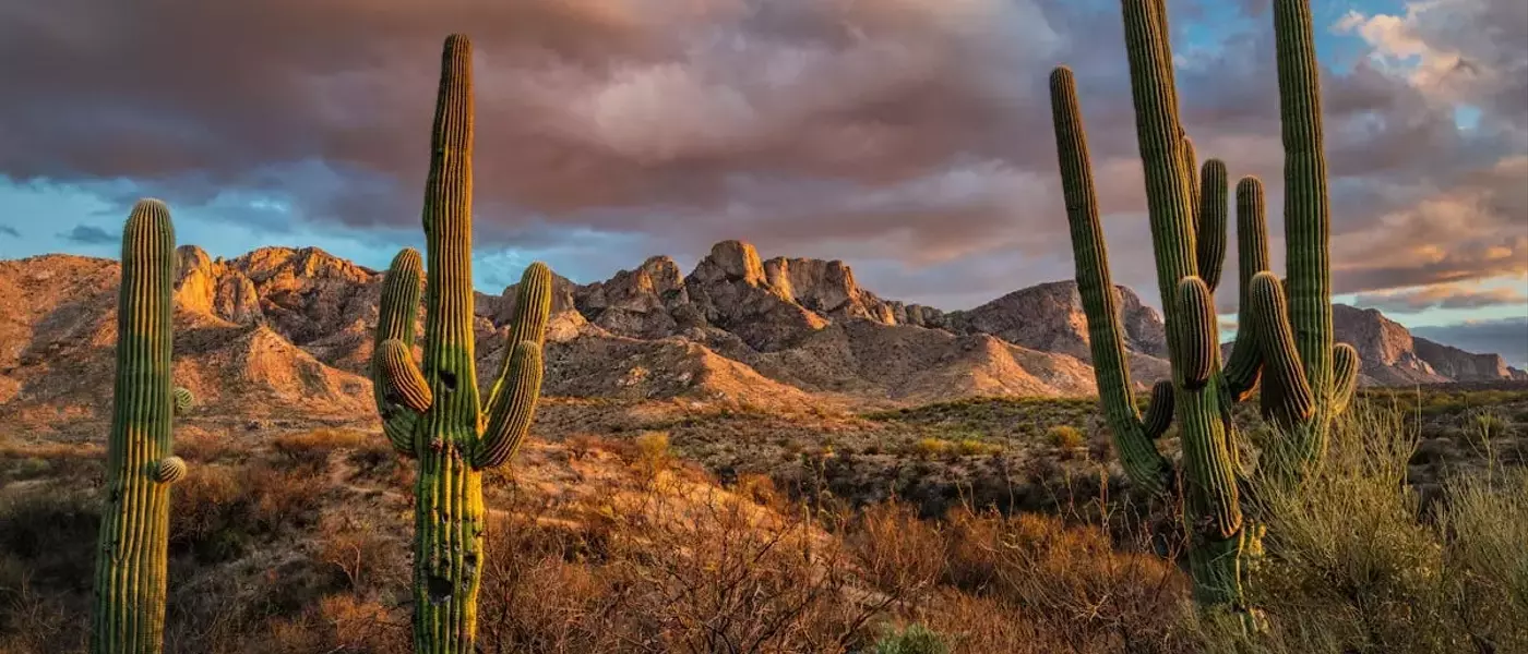 Tucson: The Southwest's Unsung Gem for Travelers