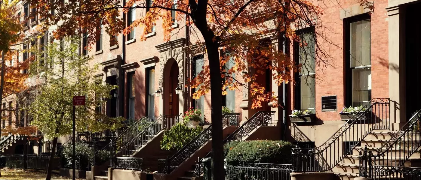 Brooklyn: A New Yorker's Village Life