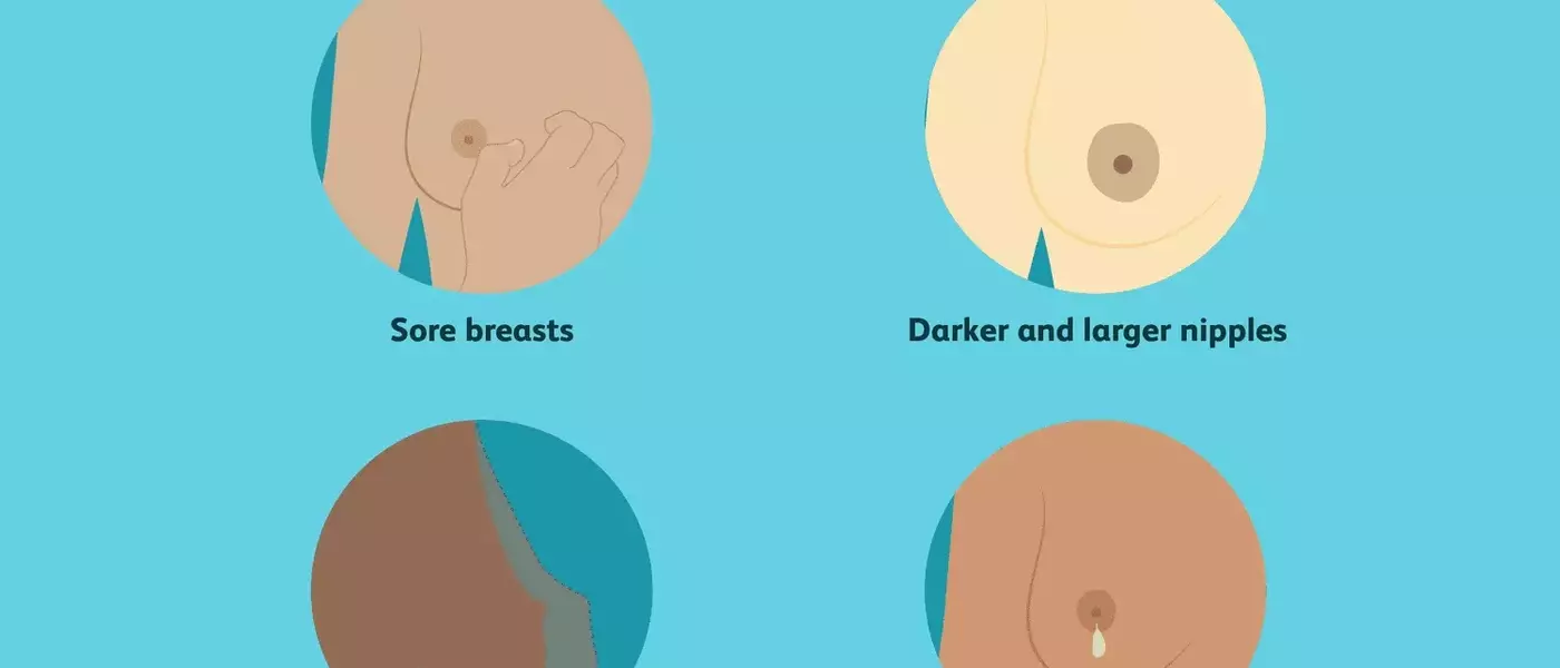 Understanding Breast Transformations During Pregnancy: A Comprehensive Guide