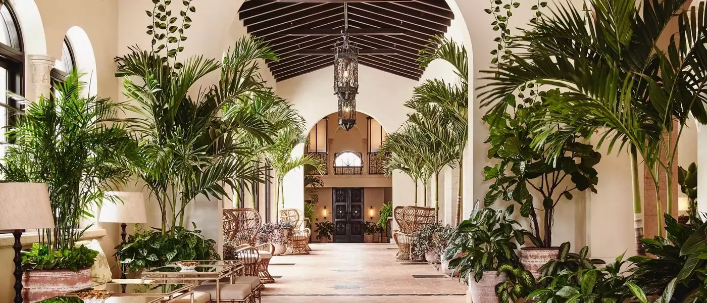 A Guide to Miami's Premier Hotels: From Iconic Beachfront Resorts to Urban Retreats