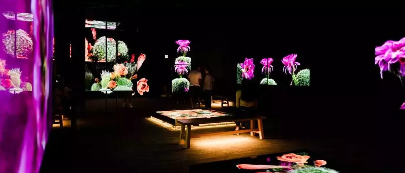 3D Scans Unveil Sonoran Desert's Hidden Life, Informing Conservation Efforts