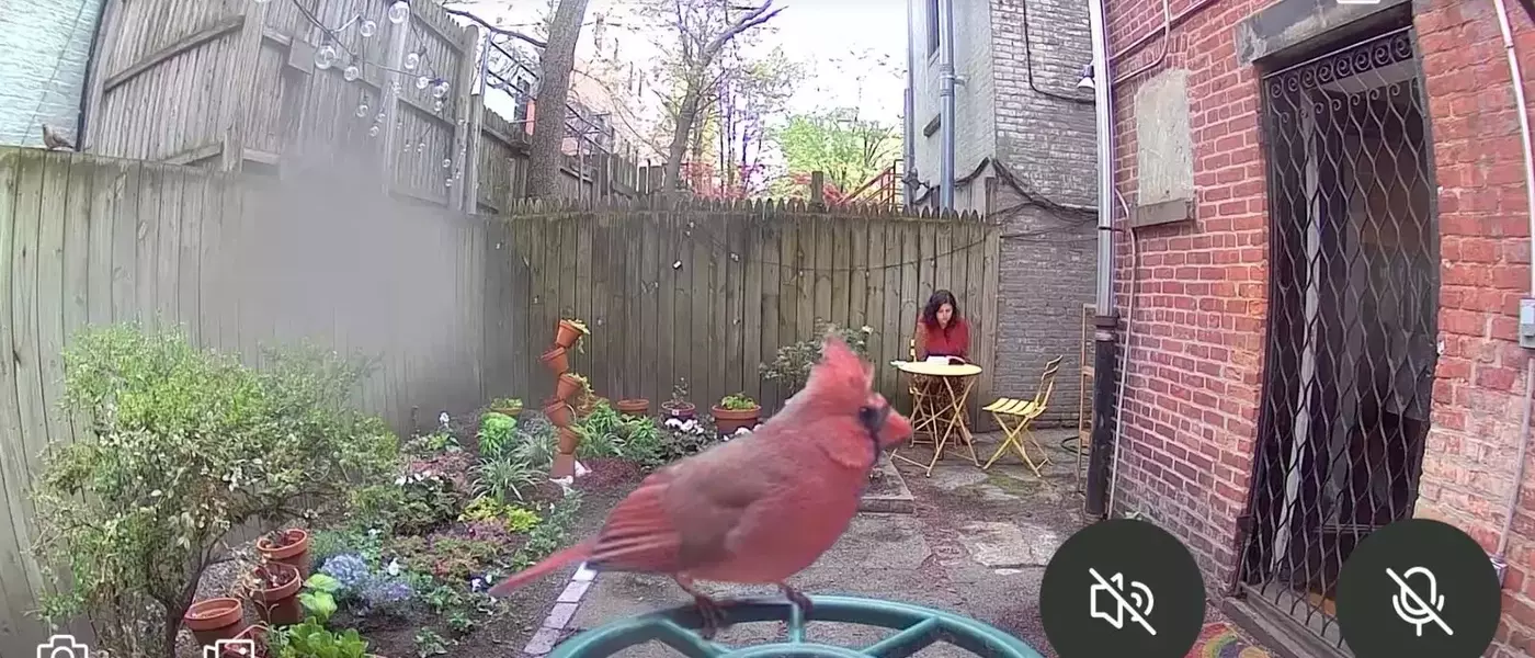 The Unexpected Joy of Birdwatching and its Influence on Fashion