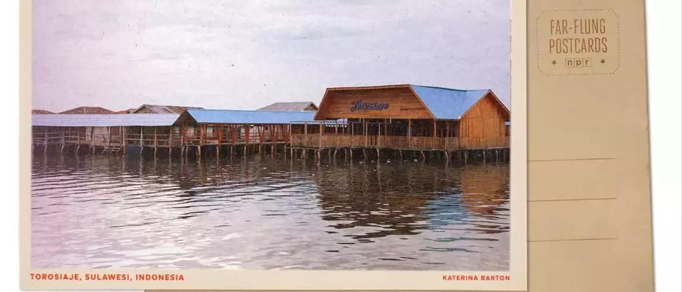 Mangrove Conservation: A Lifeline for Indigenous Fishing Communities in Indonesia