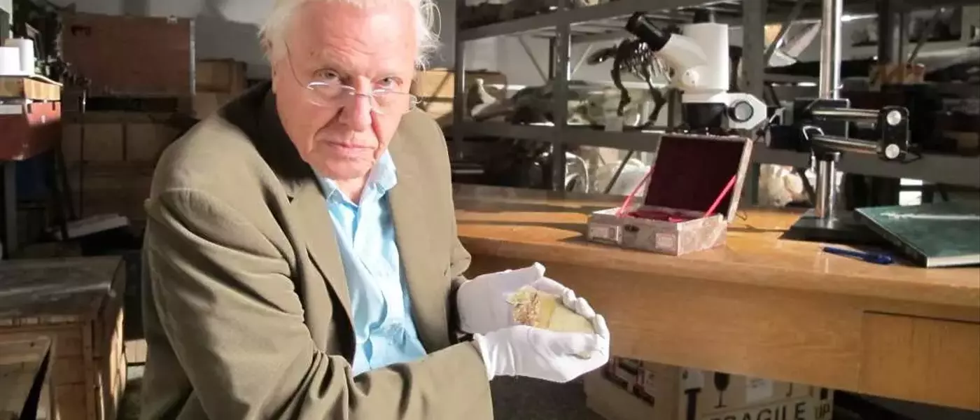 Celebrating Sir David Attenborough's Centennial: A Legacy of Nature and Conservation