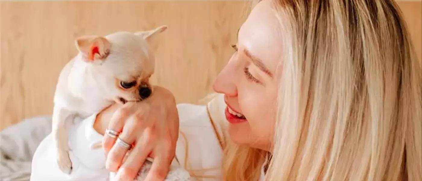 Understanding and Managing Your Dog's Nibbling Behavior