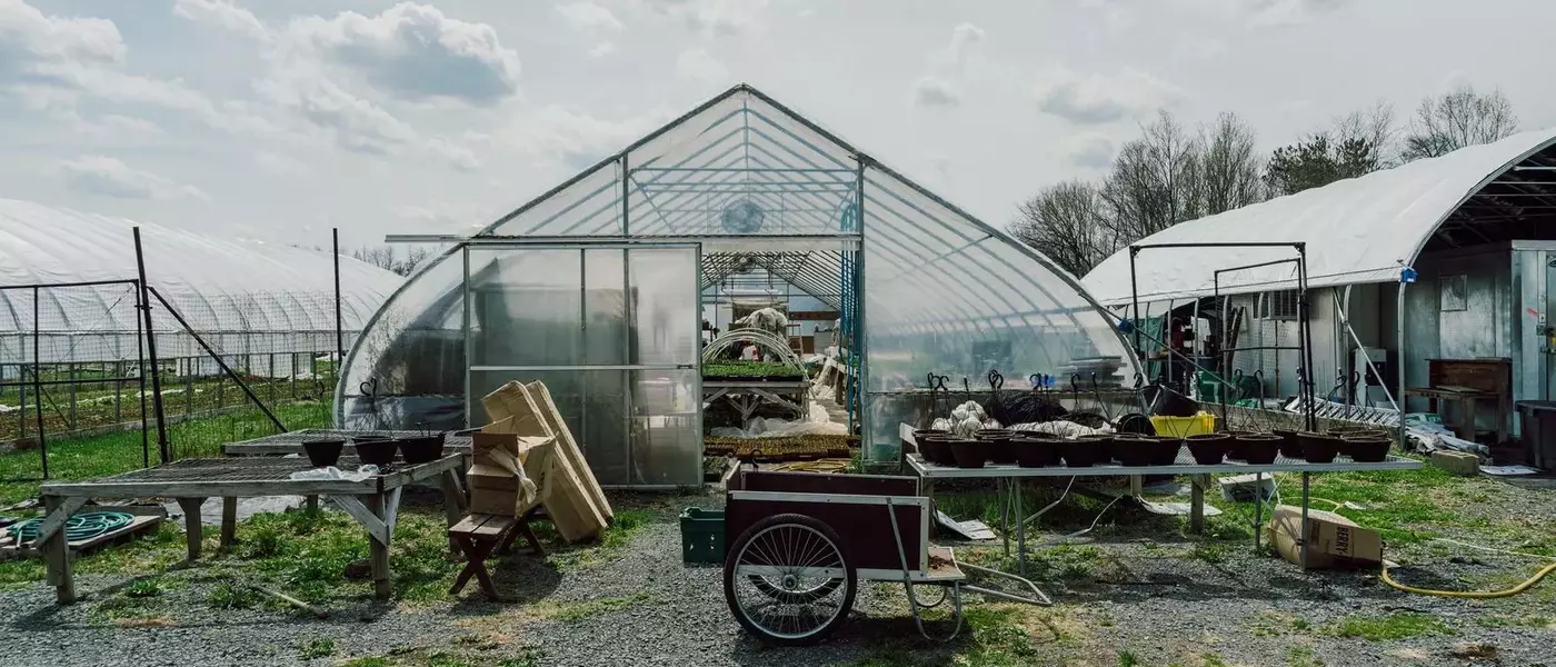 Korean Culinary Masters Establish "First Hand Farm" in Hudson Valley to Cultivate Traditional Ingredients