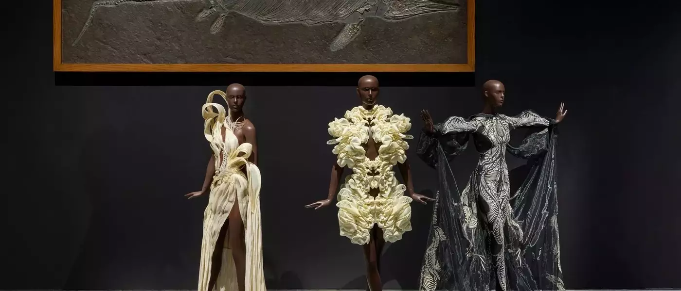 Iris van Herpen's "Sculpting the Senses" Exhibition: A Mid-Career Retrospective at the Brooklyn Museum