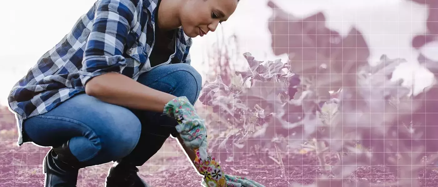 Transforming Your Garden: Innovative Uses for Everyday Food Scraps