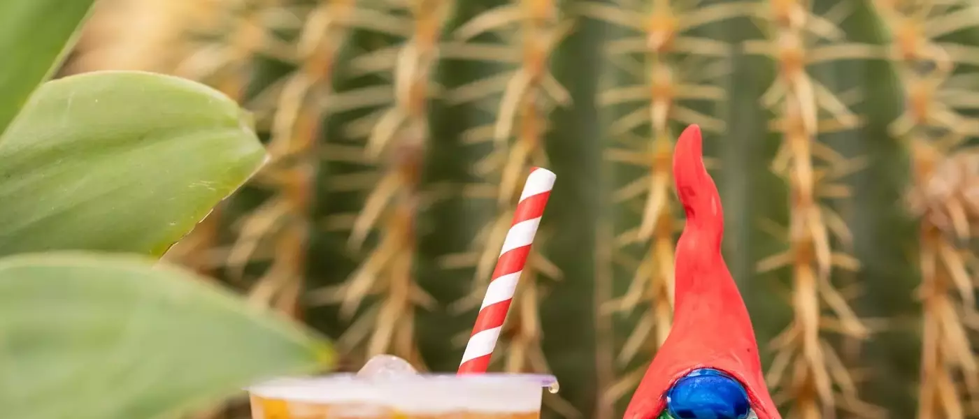 Gnomes Steal the Spotlight at Chelsea Flower Show