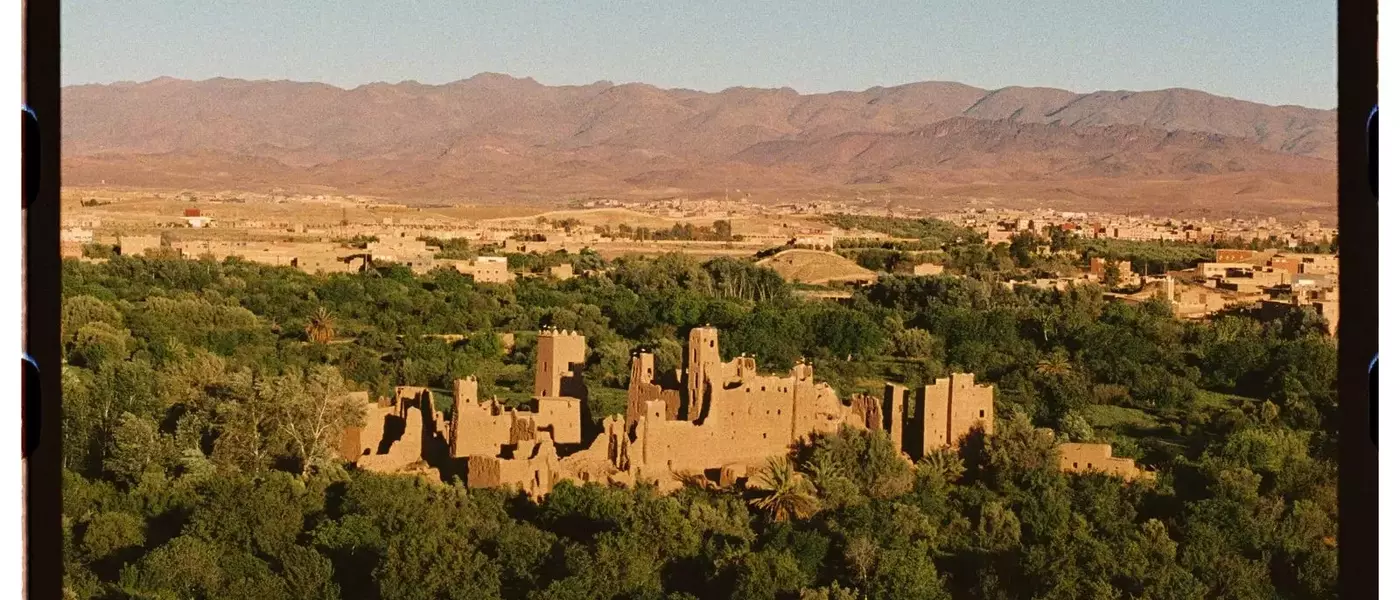 The Enduring Tradition and Evolving Future of Morocco's Rose Valley