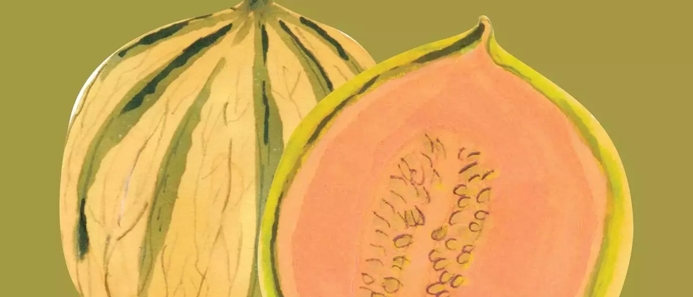 Discovering the Diverse World of Summer Melons