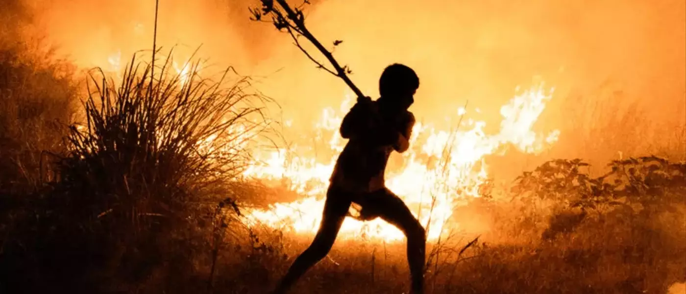 Art Partner Launches 2026 Earth Partner Prize to Empower Youth in Climate Action