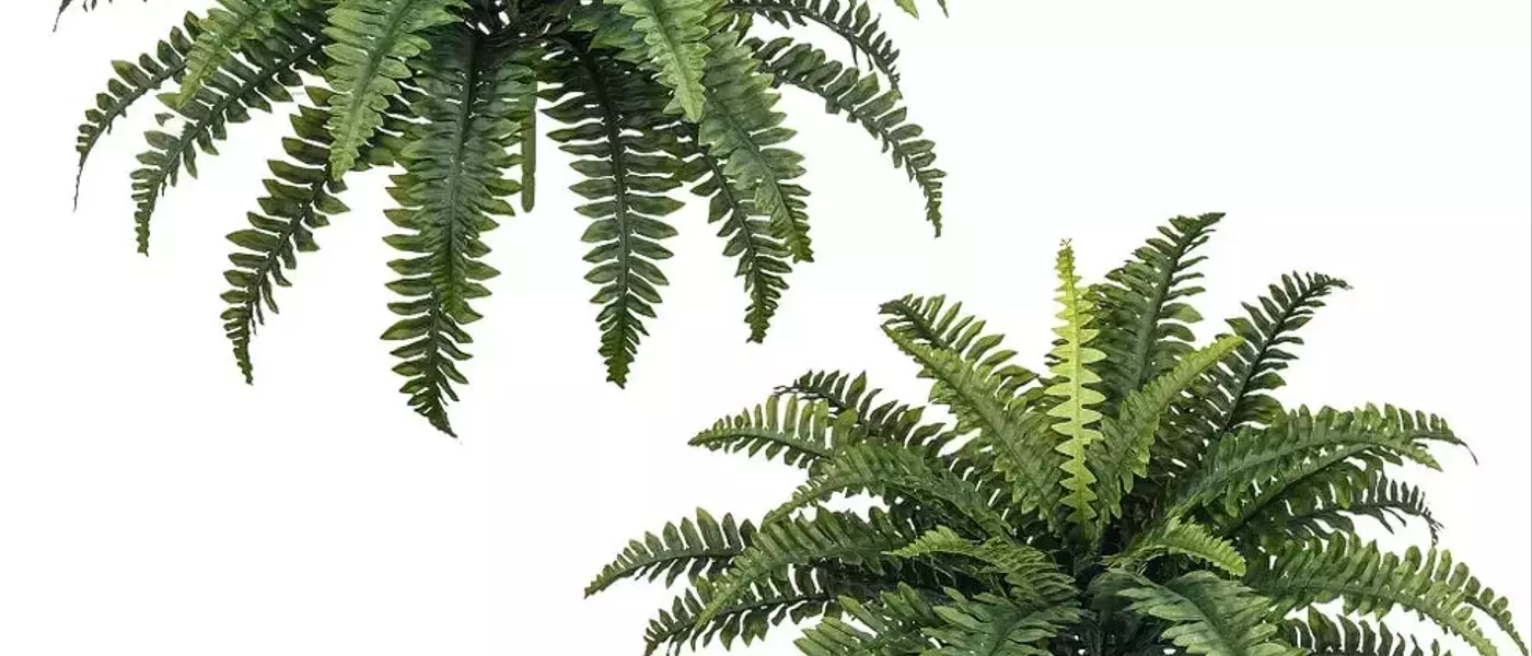 Top Picks: The Most Realistic Artificial Plants on Amazon