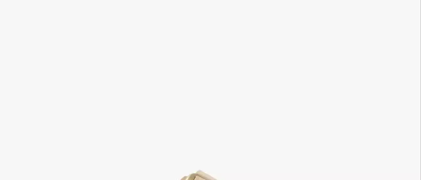 The Enduring Allure of Double-Buckle Sandals: A Celebrity Fashion Favorite