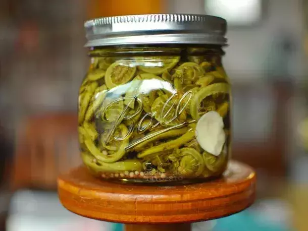 Preserving Spring's Bounty: A Guide to Pickled Fiddlehead Ferns