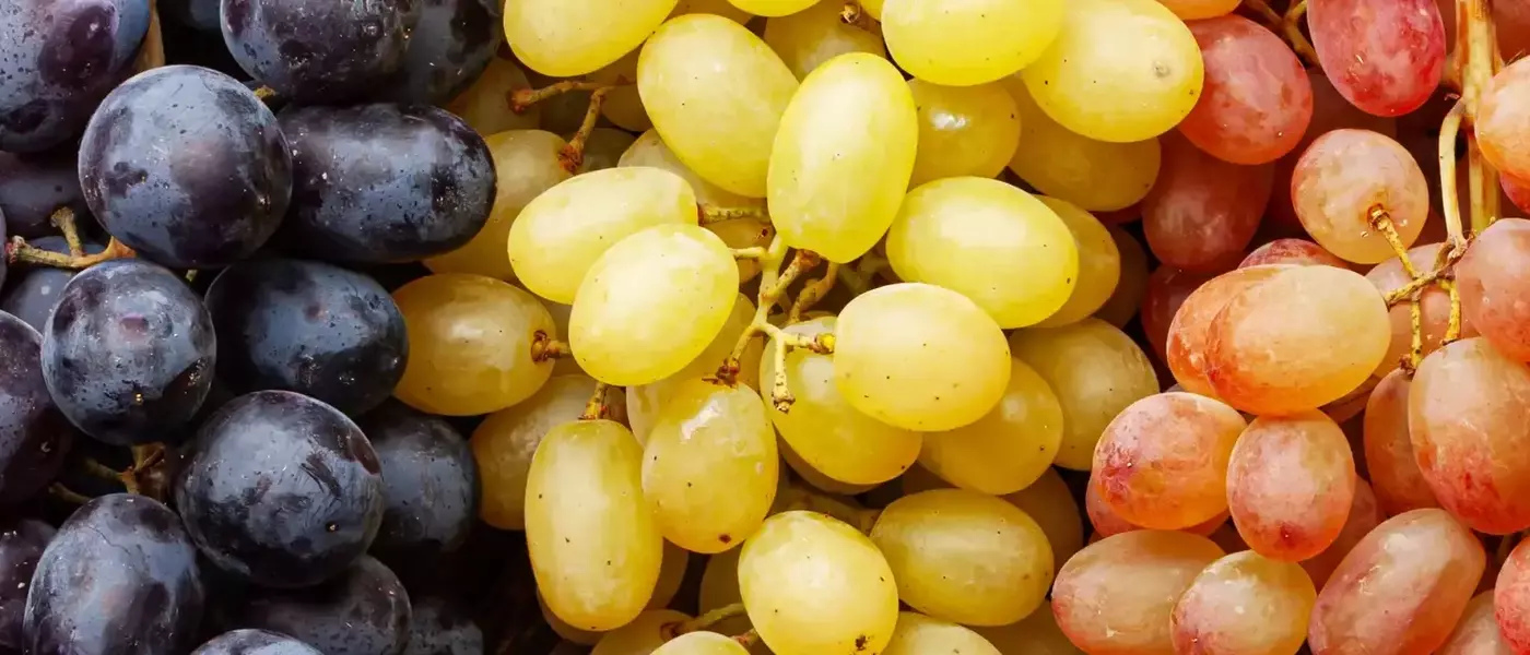 A Comprehensive Guide to Grapes: Varieties, Selection, and Culinary Uses