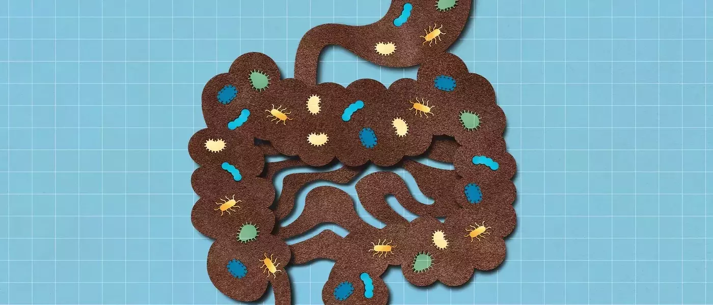 Nuts: The Ultimate Gut-Healthy Snack