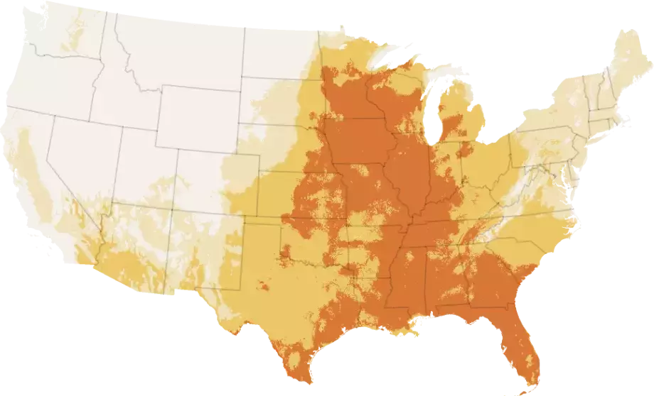 US Braces for Record-Breaking Heatwave Ahead of Holiday Weekend