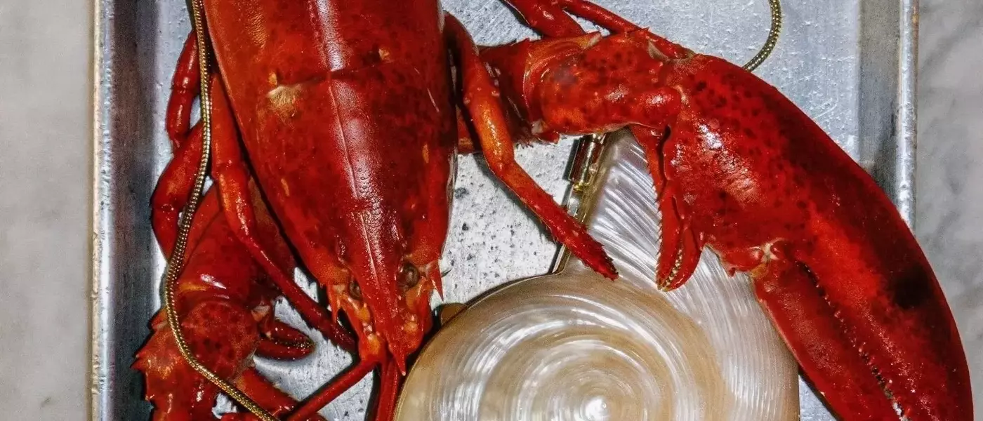 The Enduring Allure of Seashell Accessories in Fashion